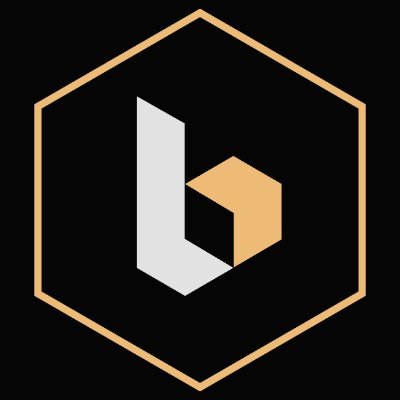 basis.pro