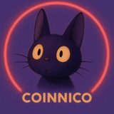코인 니꼬