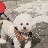 비트코인 나머지? 공부방