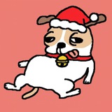 올해 취업을 목표로 하는 이기정