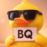 BQ 🐥