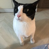 꿀찾는 양말이 Super N 크립토 일기장 ⚡️