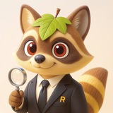 크립토버린 라쿤